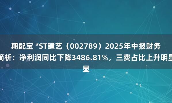 期配宝 *ST建艺（002789）2025年中报财务简析：净利润同比下降3486.81%，三费占比上升明显