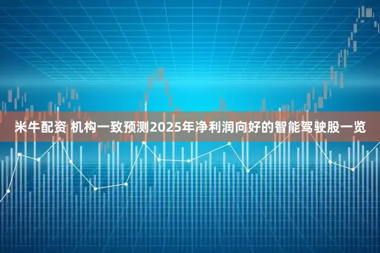 米牛配资 机构一致预测2025年净利润向好的智能驾驶股一览