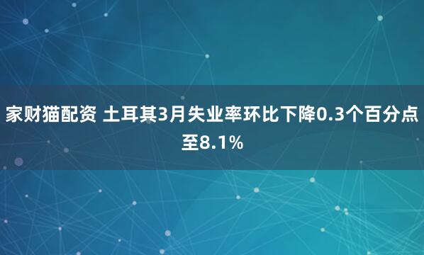 家财猫配资 土耳其3月失业率环比下降0.3个百分点至8.1%